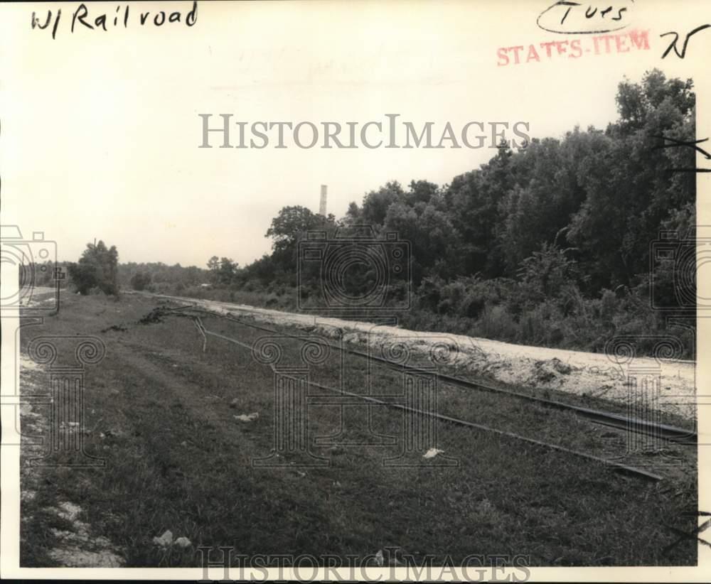 Image1