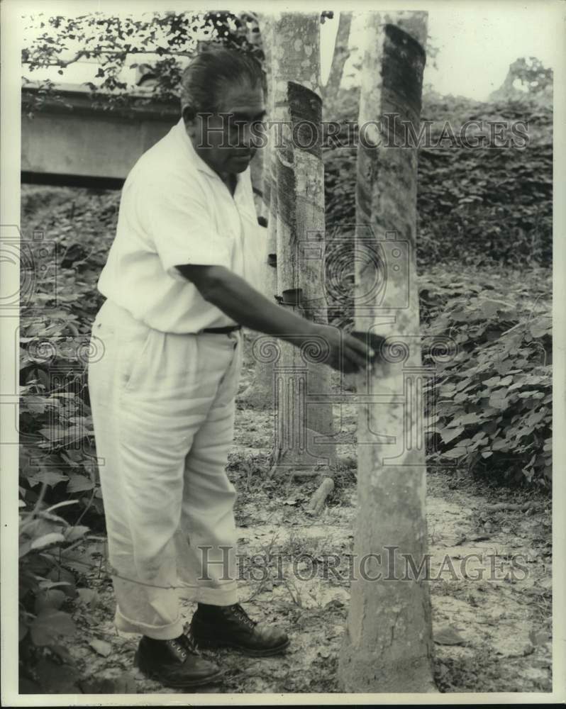 Image1