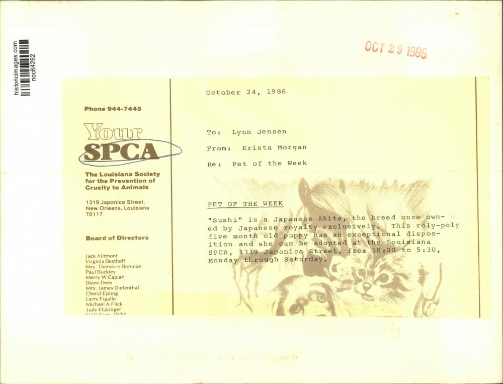 1986 Press Photo &quot;Sushi&quot; Japanese Akita for up-for adoption at Louisiana SPCA | eBay