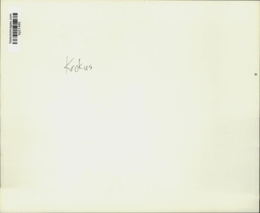 Image2