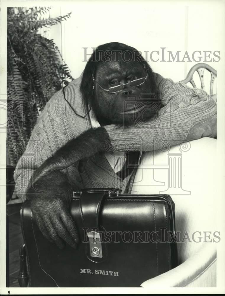 Image1