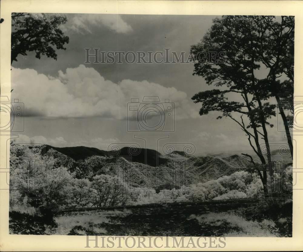 Image1