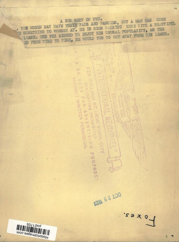 Image2