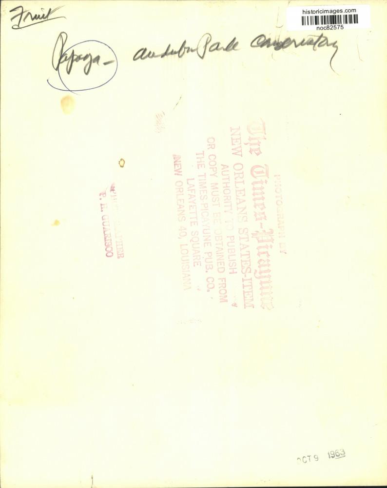 Image2