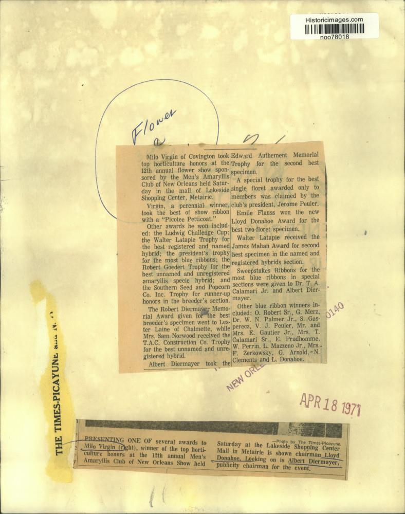 Image2