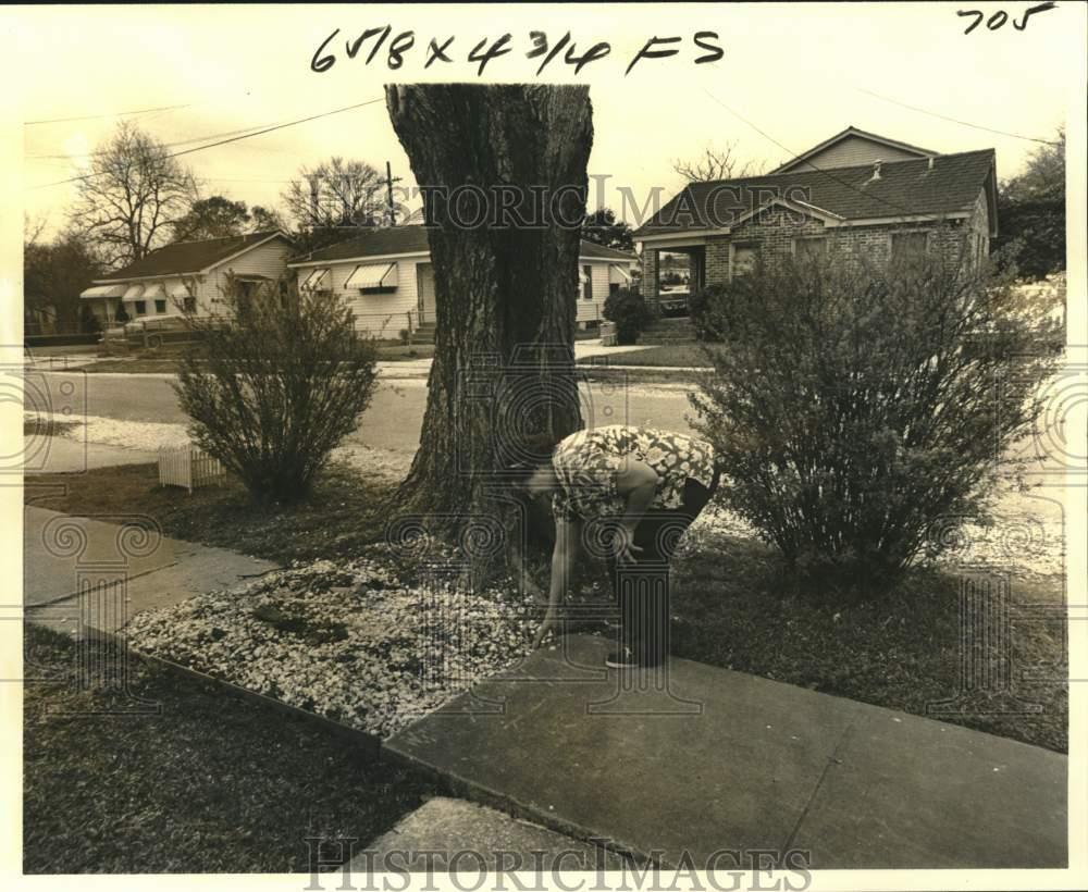 Image1
