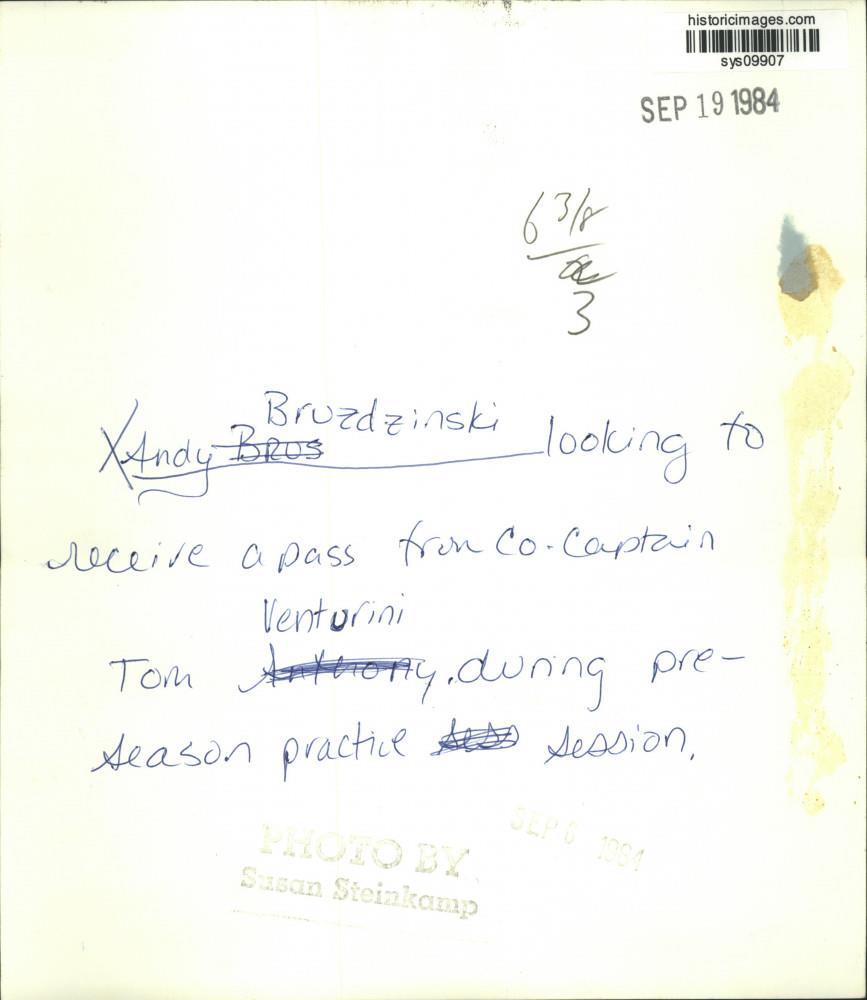 Image2