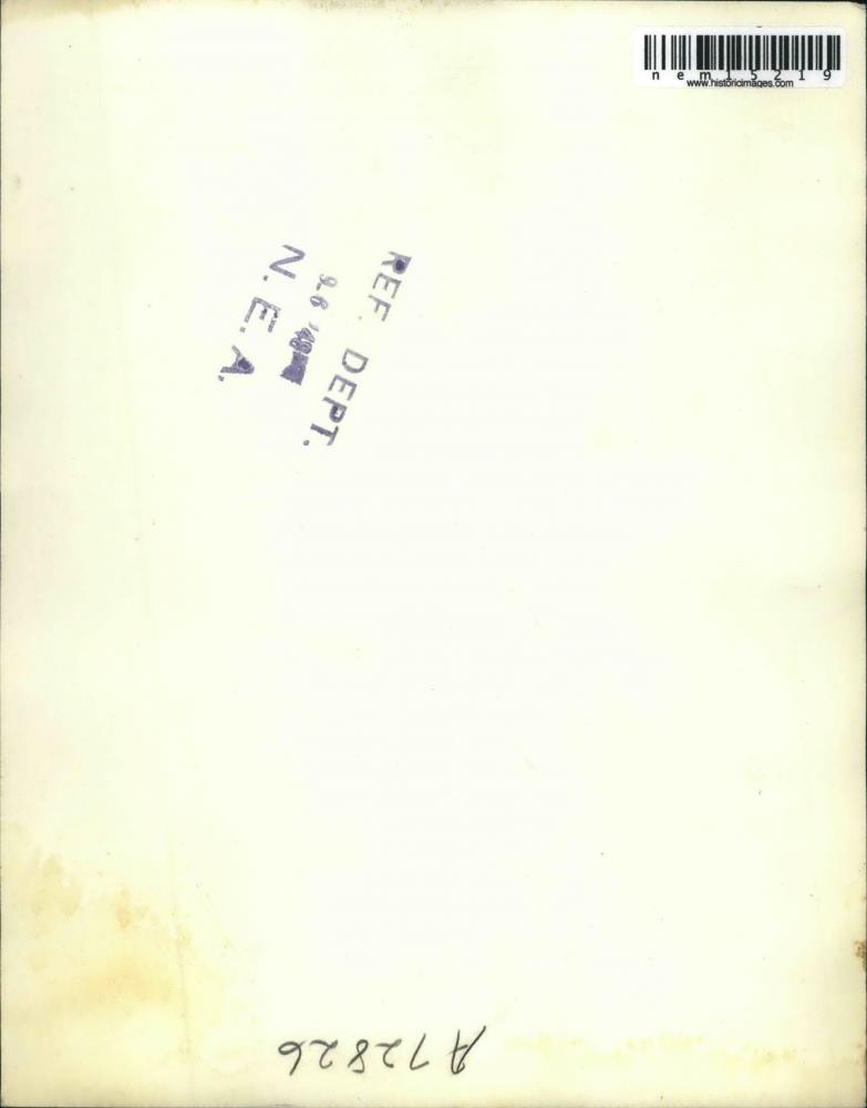 Image2