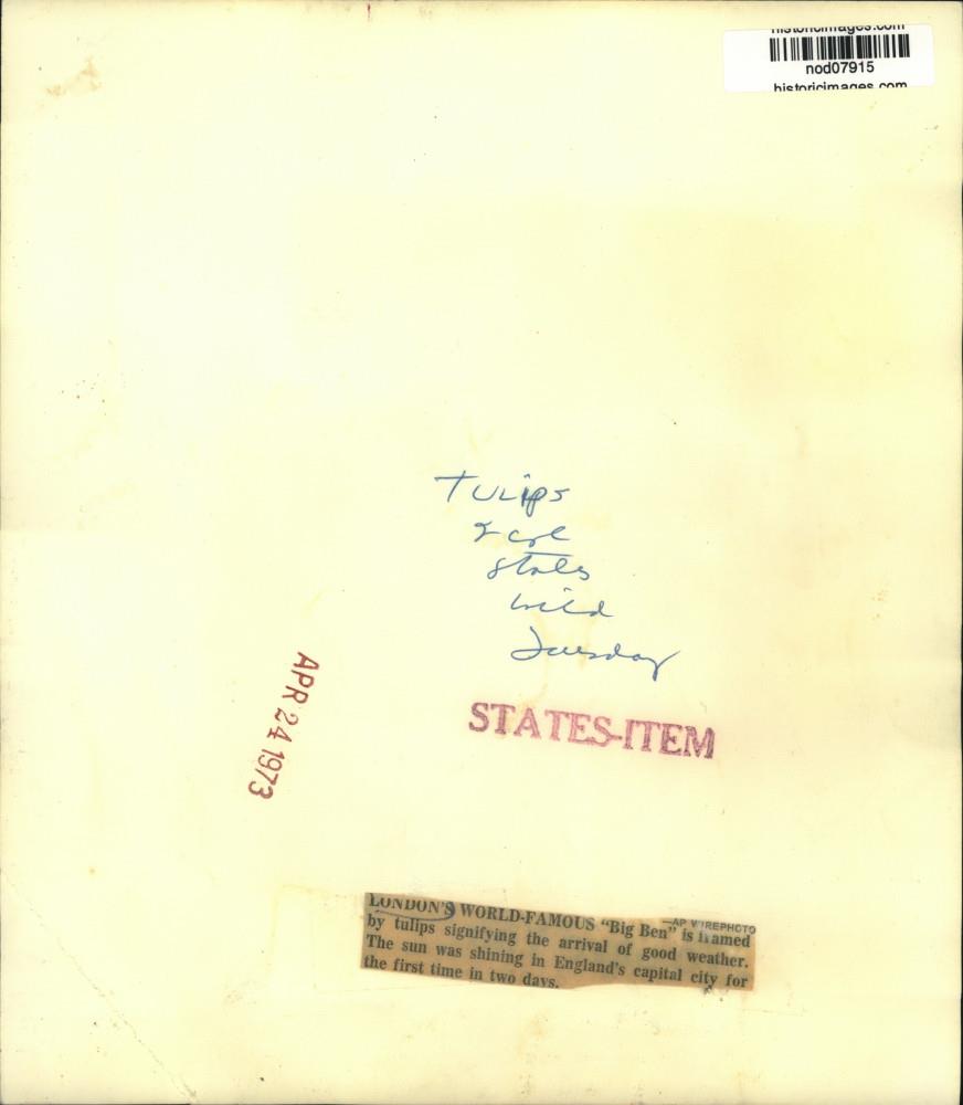 Image2