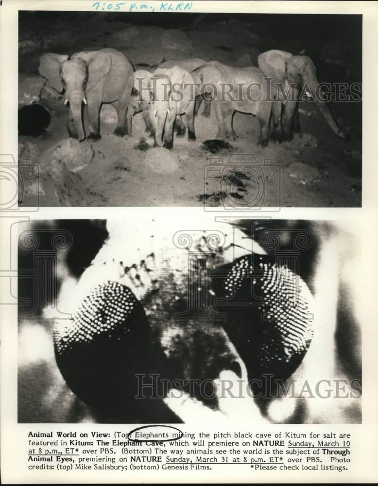 Image1