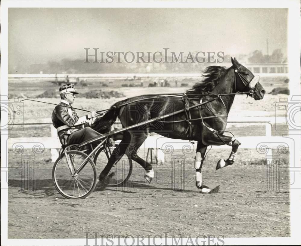 1941 Press Photo Harness Racing Horse and Jockey on Track