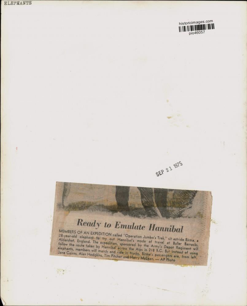 Image2