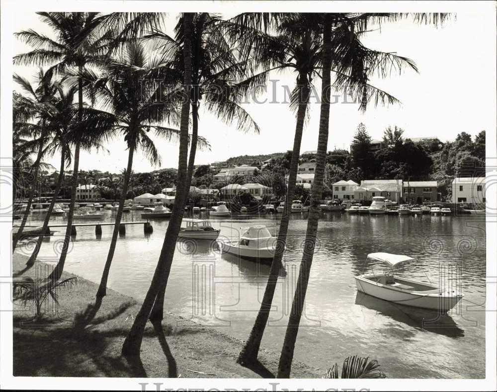 Image1
