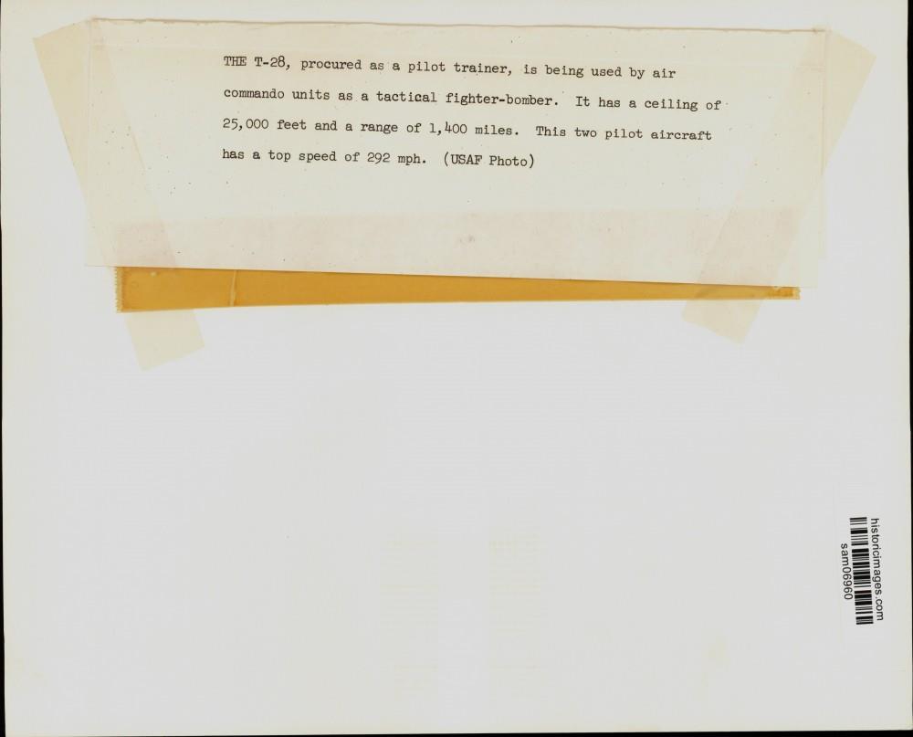 Image2