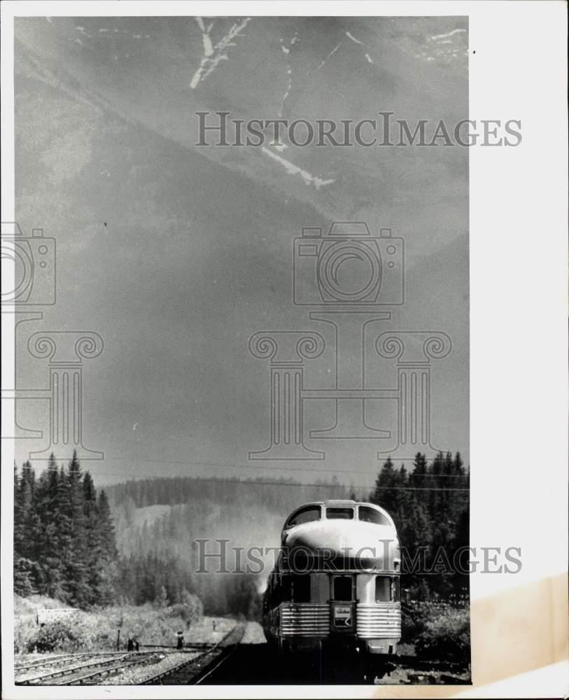 Image1
