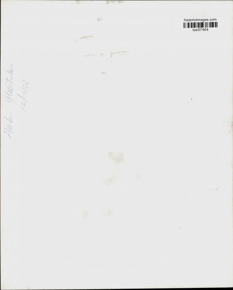 Image2