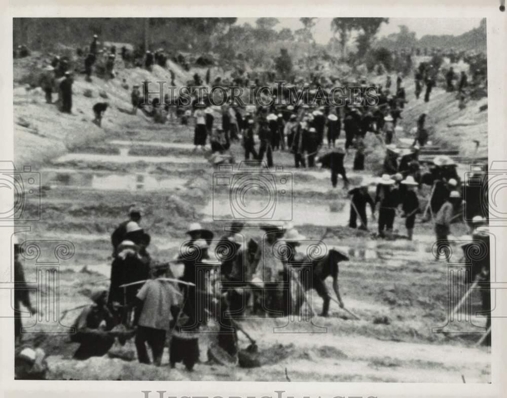 Image1
