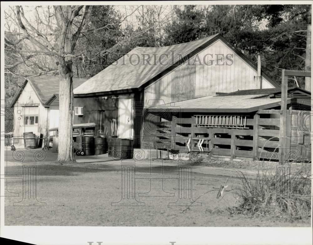 Image1