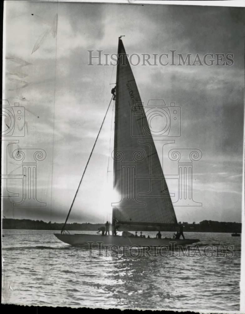 Image1