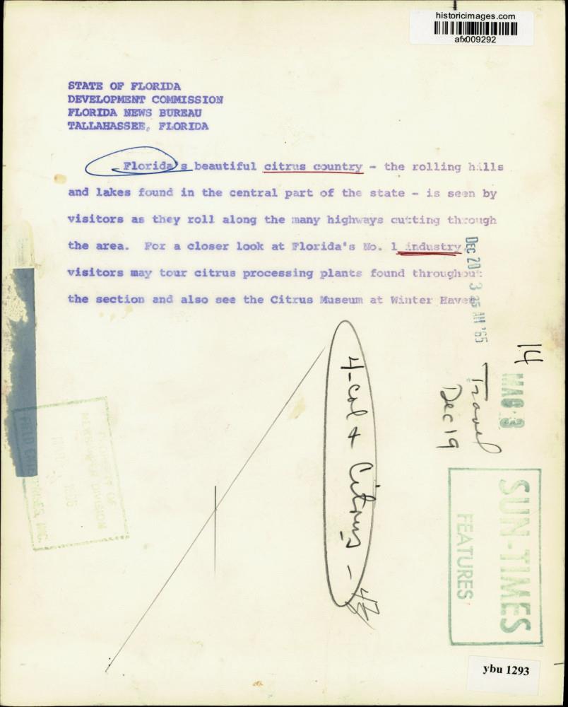 Image2