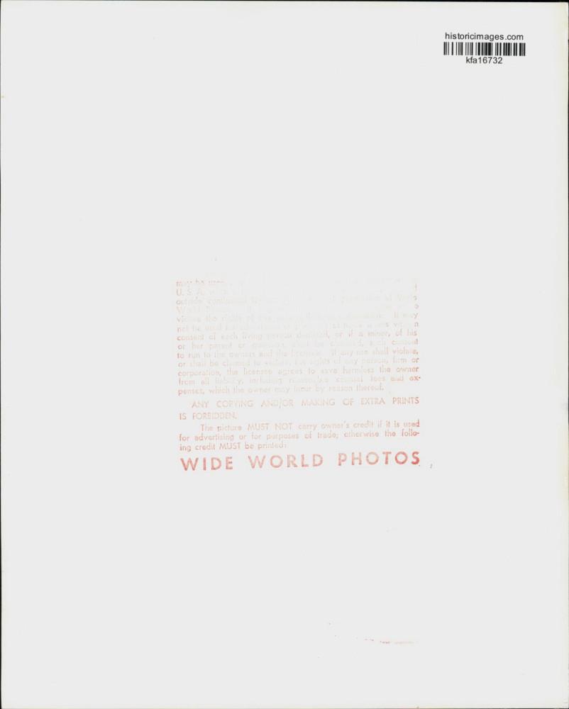 Image2