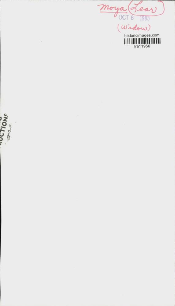 Image2