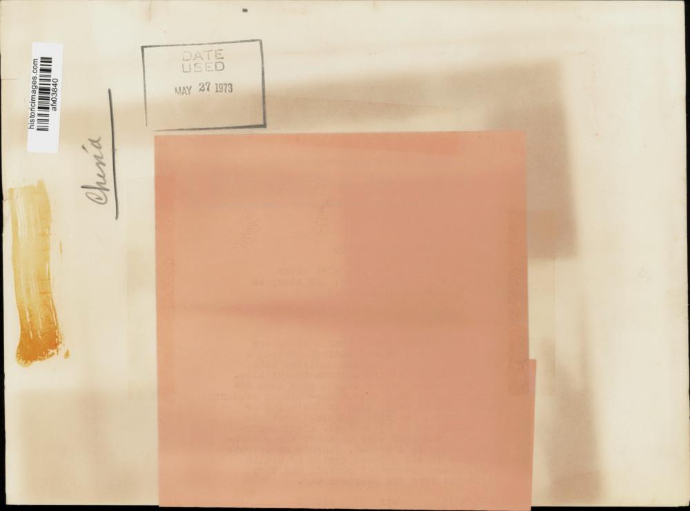 A.P.C. 写真集 1987-2003 Carnet Commemoratif A.P.C. 1987-2003