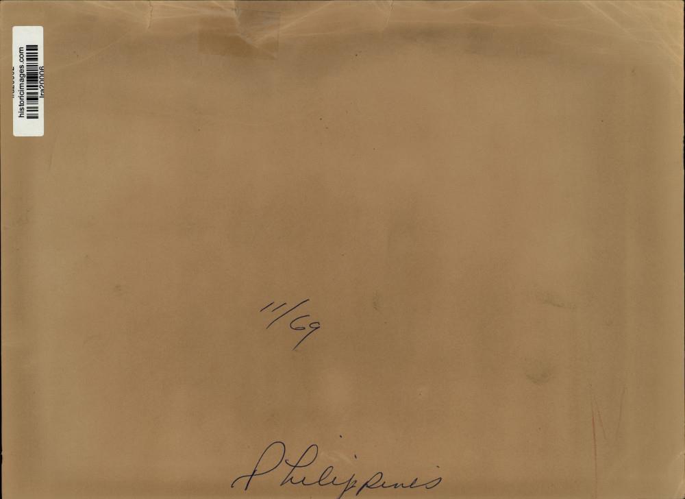 Image2