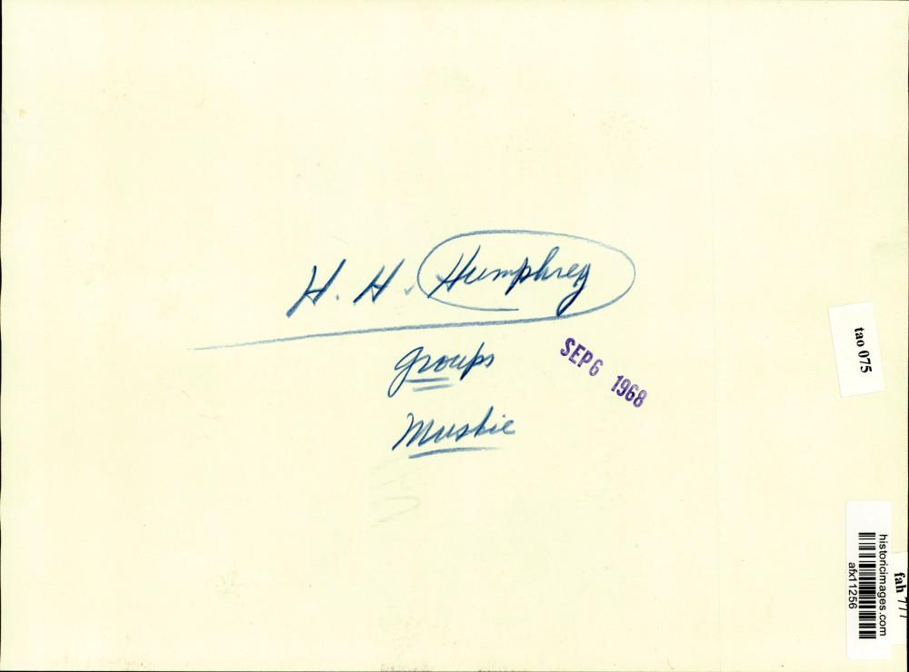 Image2
