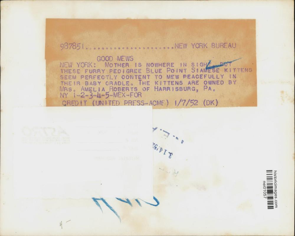 Image2