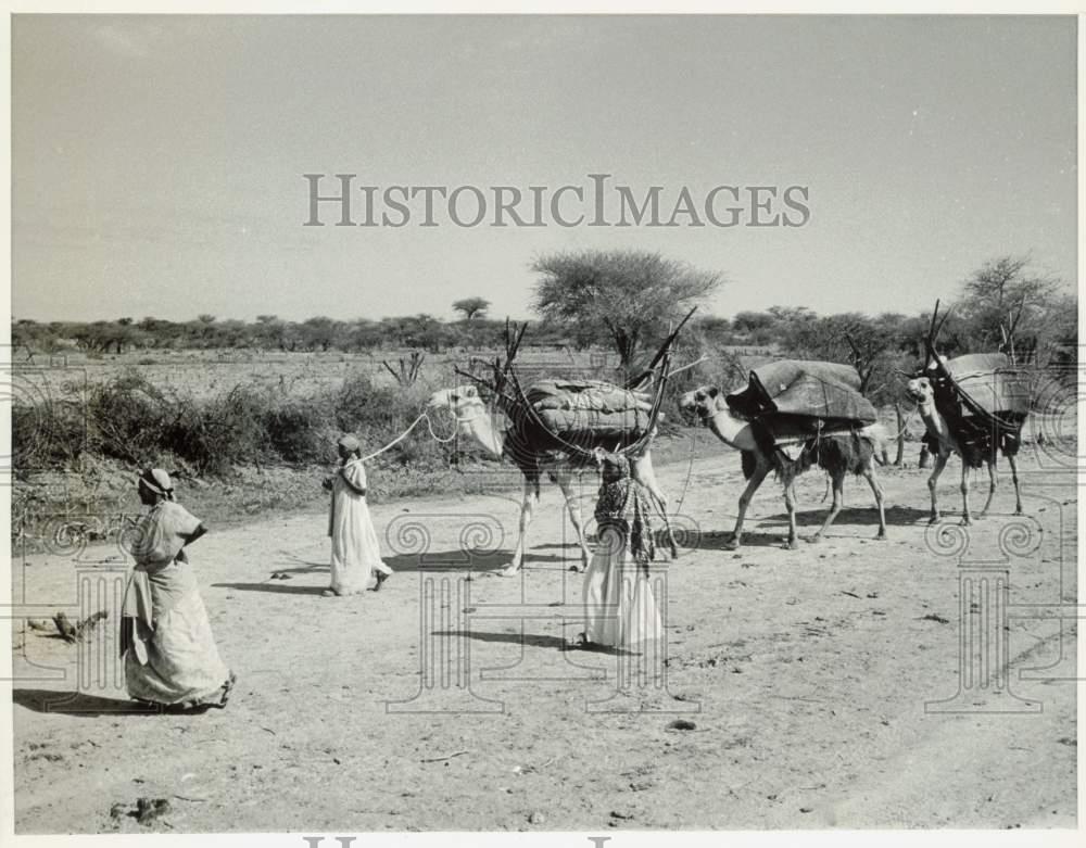 Image1