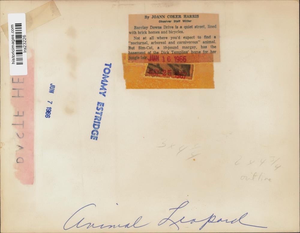 Image2