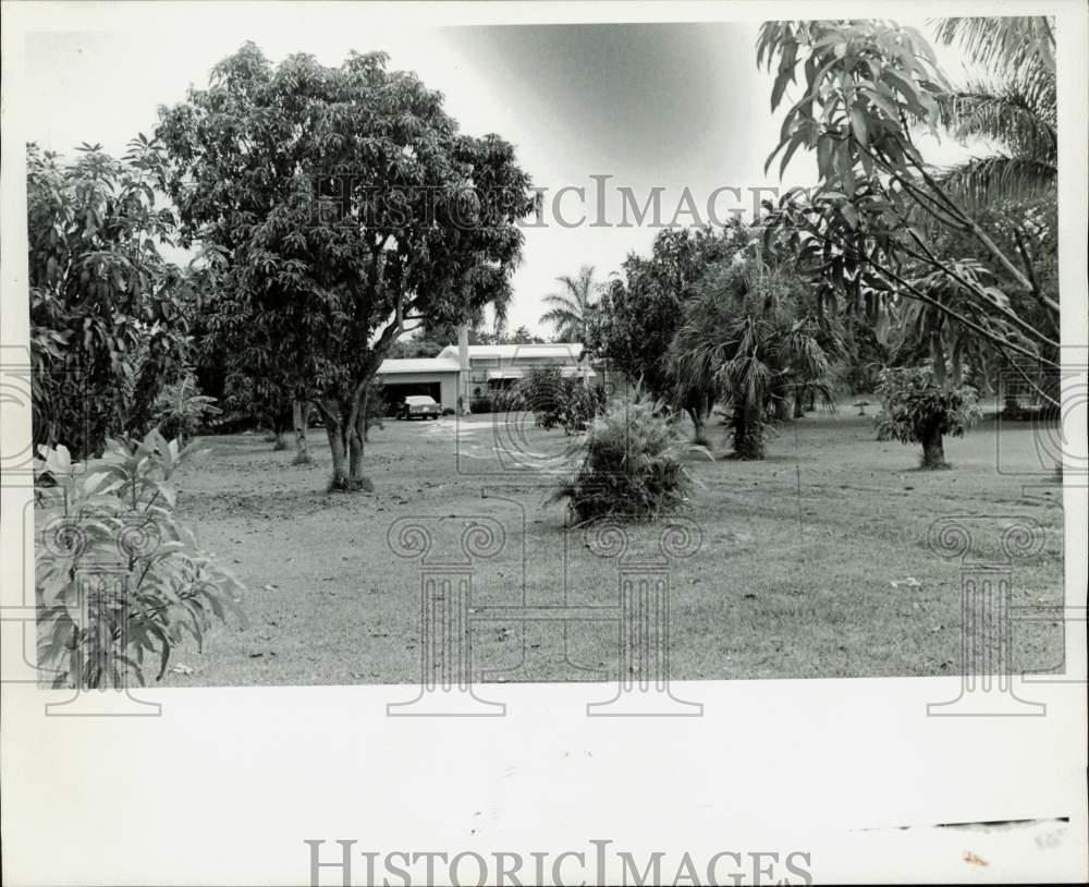Image1