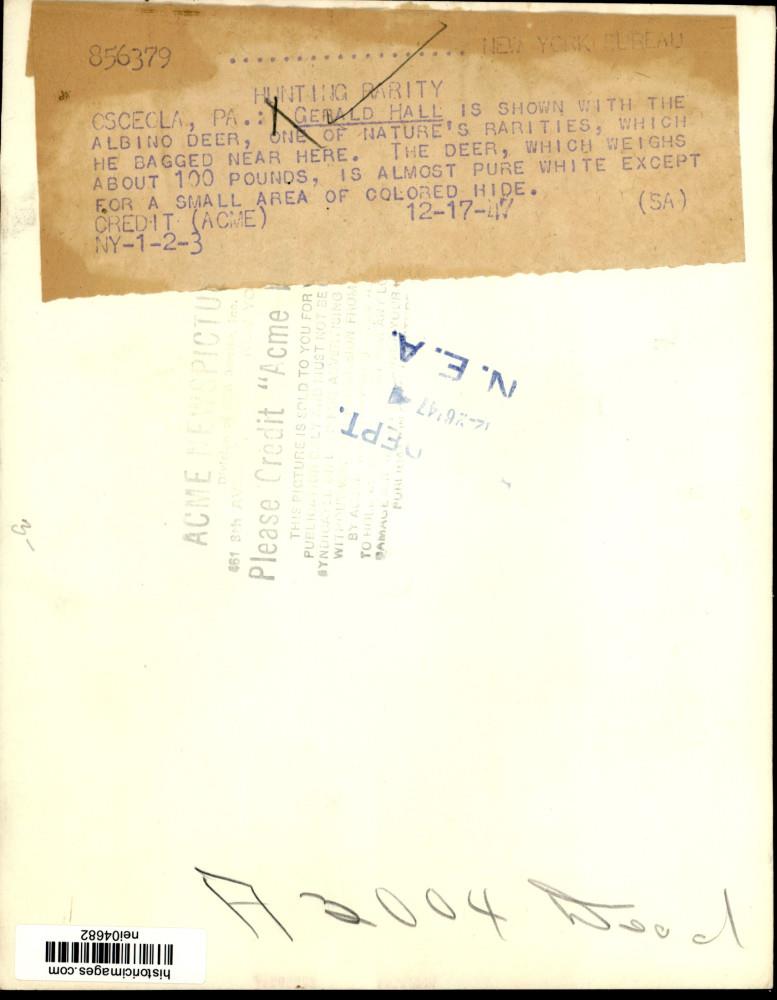 Image2