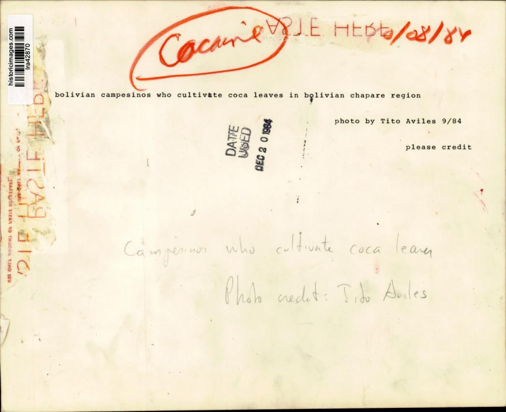 Image2