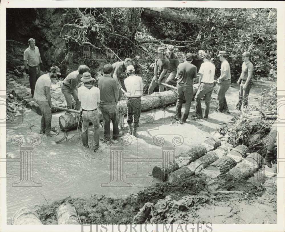 Image1