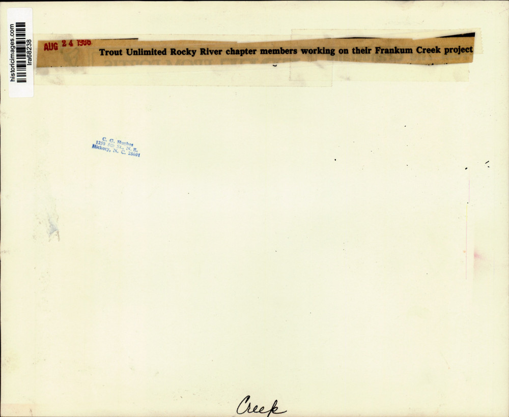 Image2