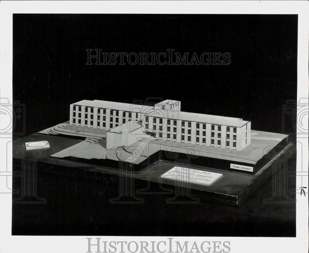 Image1