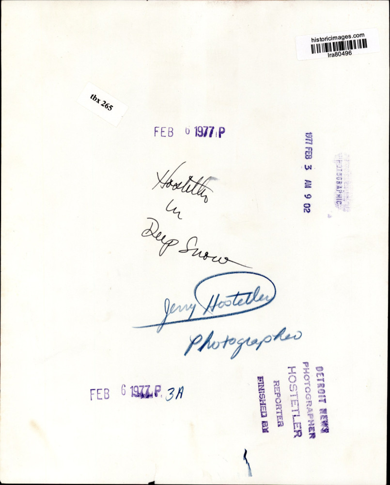Image2