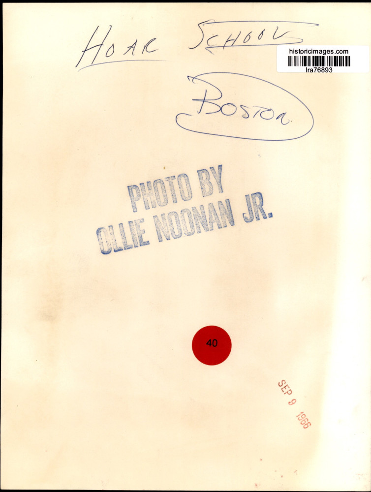 Image2