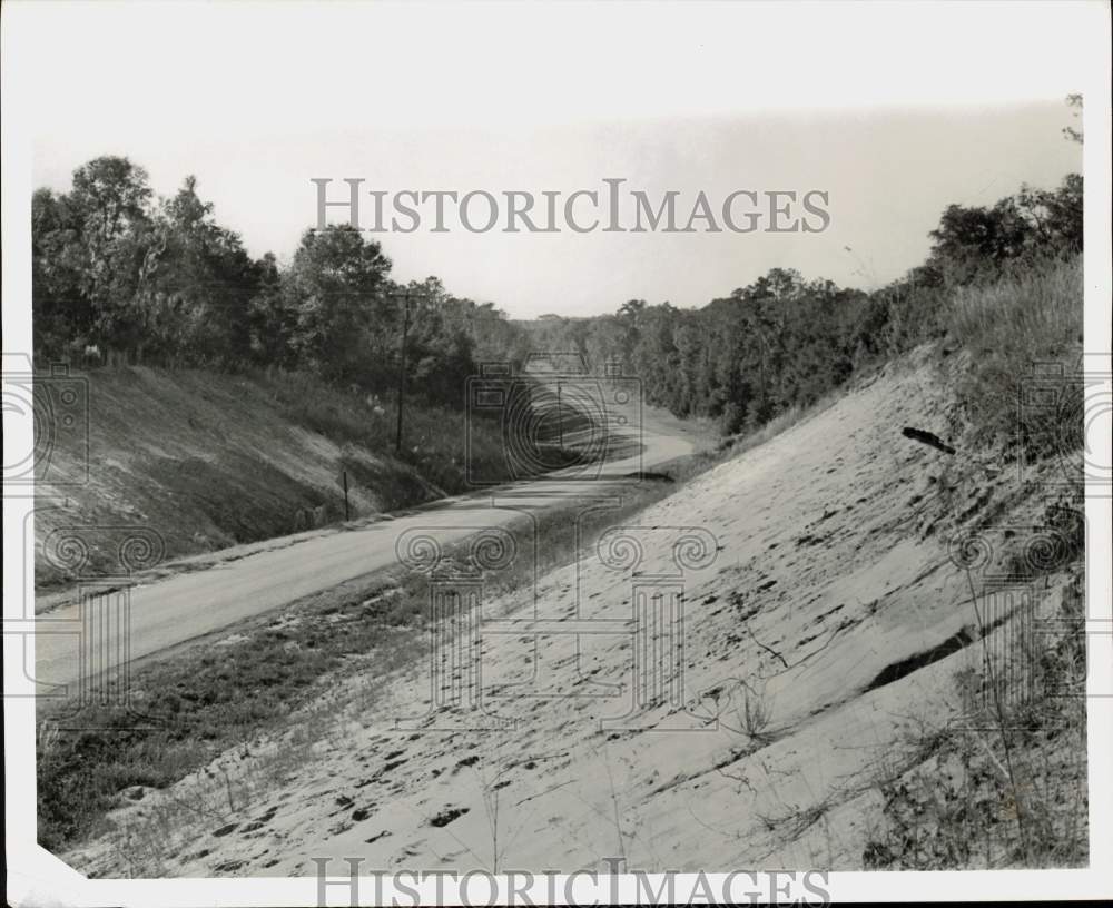 Image1