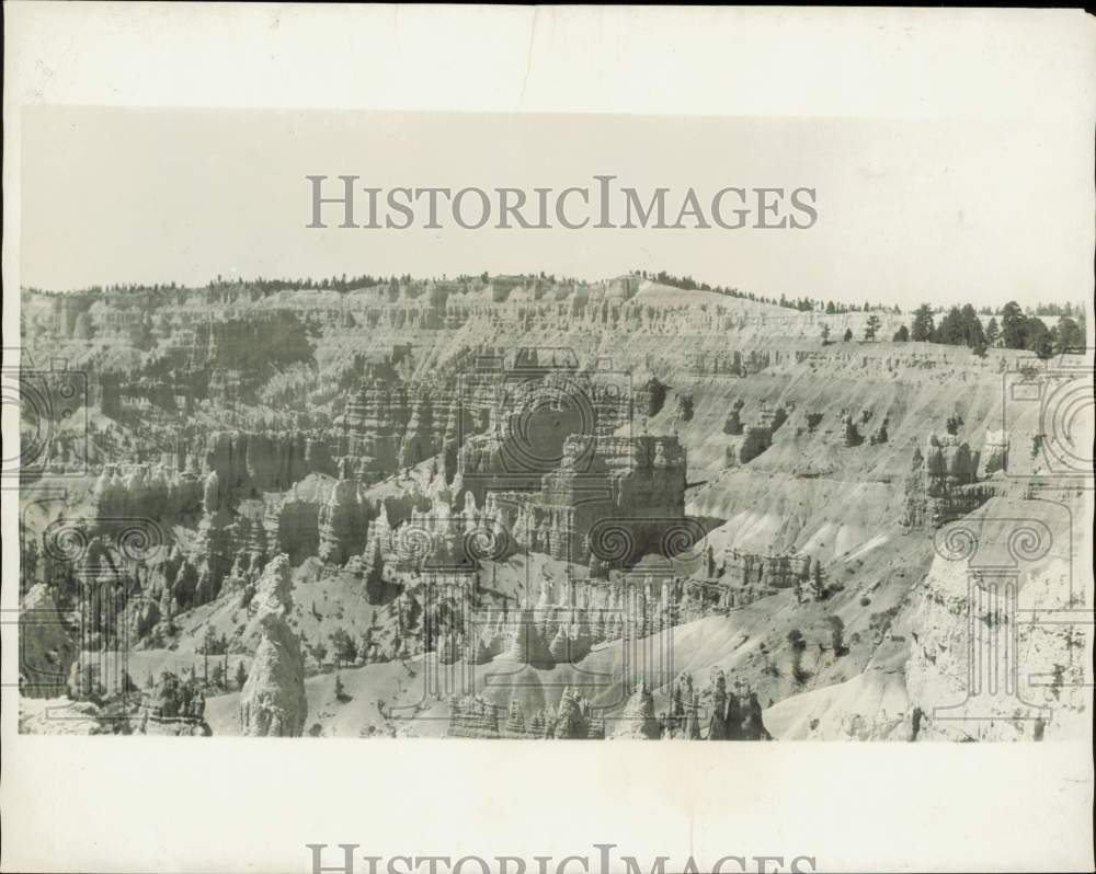 Image1