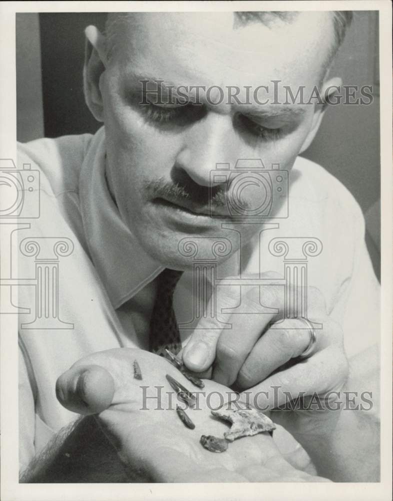 Image1