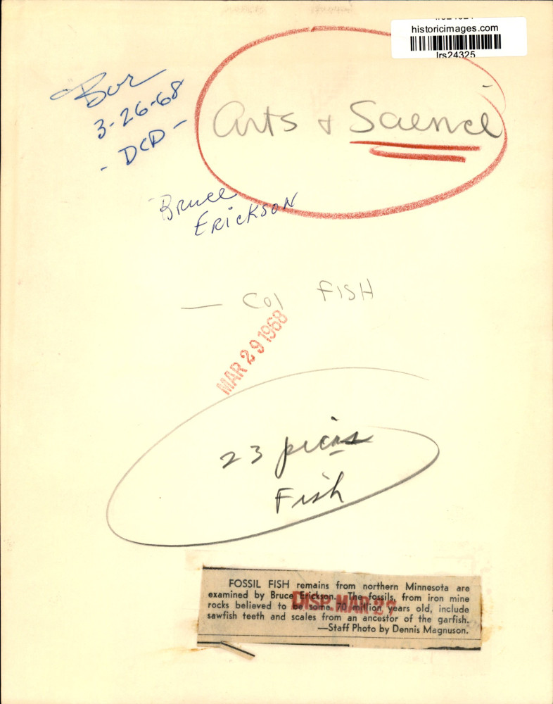 Image2