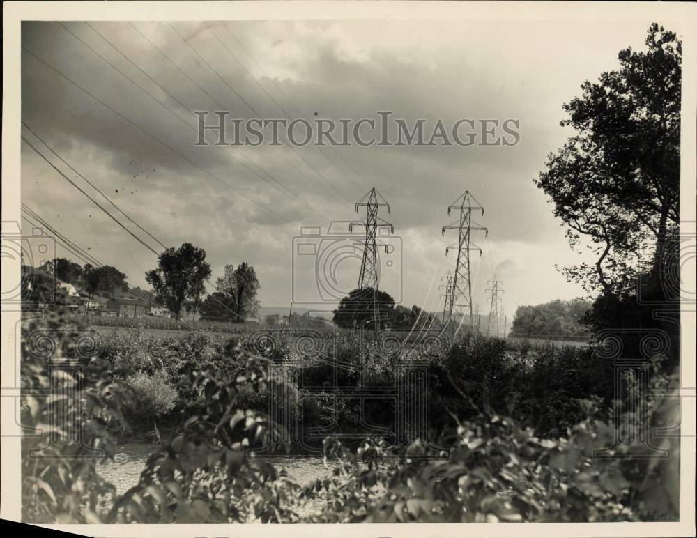 Image1
