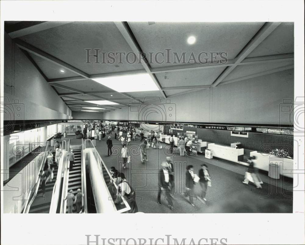 Image1