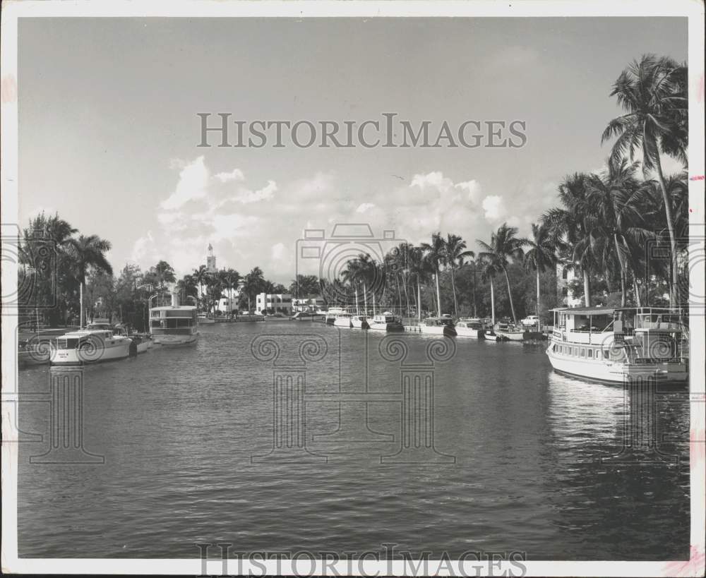 Image1
