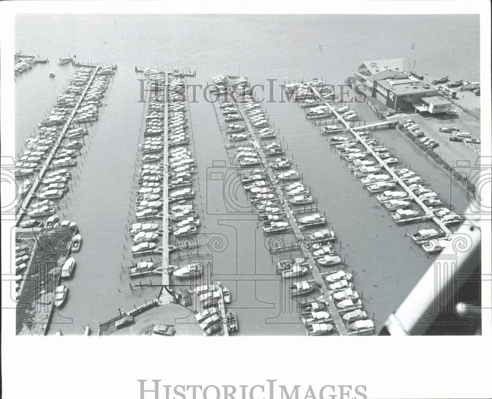 Image1