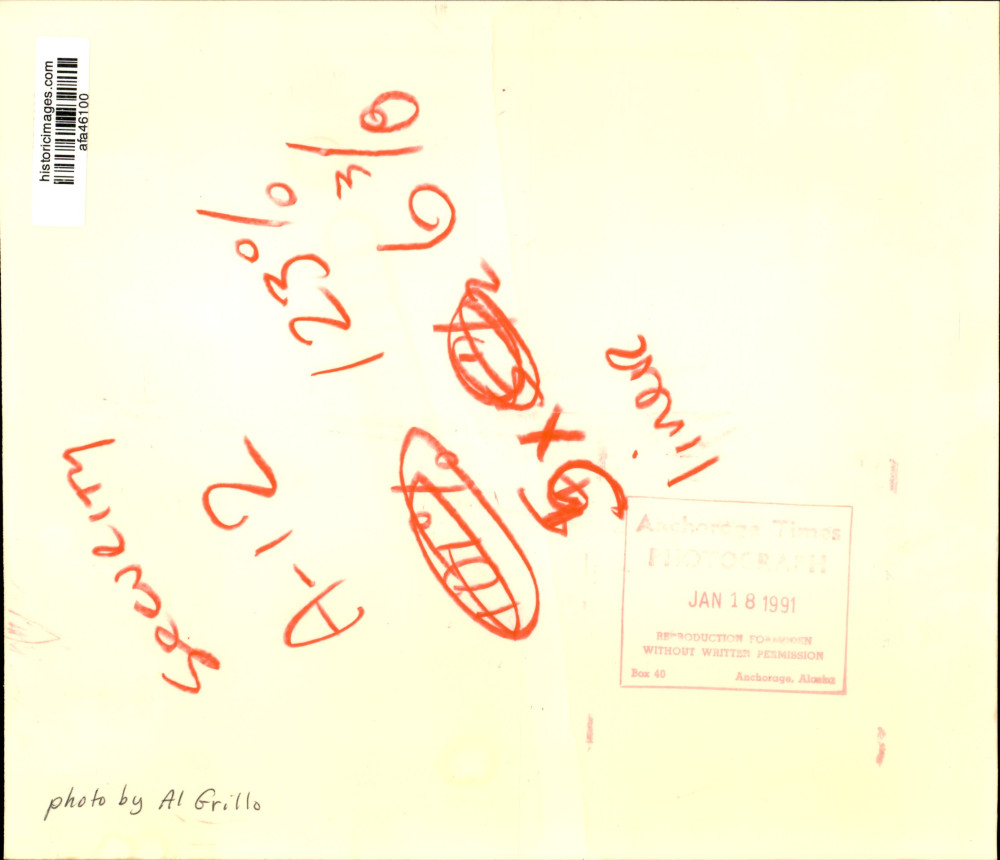 Image2