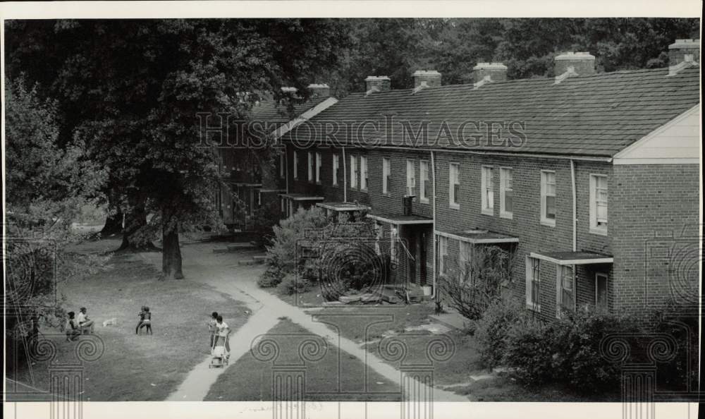Image1